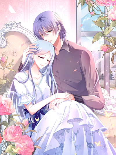 完结漫画：钢之炼金术师